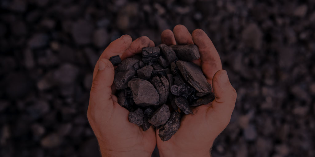Eco carbón ganador WORTEV